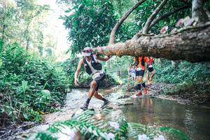 BIB: 
                            <button type="button" onclick="openModal(25439115)" class="btn btn-primary btn-sm float-right btn-popup" data-toggle="modal" data-target=".modal-high-quality">
                        <i class="fas fa-shopping-cart"></i> Add to Cart
                    </button>
                                            <button type="button" onclick="isThisMe(25439115, true)" class="btn btn-success btn-sm float-right btn-popup btn-isme hidden" data-toggle="tooltip" data-placement="bottom" title="นี่คือรูปของคุณใช่ไหม คลิกที่นี่เพื่อเอาเข้าอัลบั้ม">
                        <i class="fas fa-plus"></i> Add to album
                    </button>
                    <button type="button" onclick="isThisMe(25439115, false)" class="btn btn-warning btn-sm float-right btn-popup btn-isnotme hidden">
                        <i class="fas fa-ban"></i> Remove from album
                    </button>